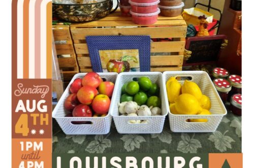 453771331_1033124332153272_3808796834478738661_n