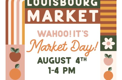 453845906_1033153232150382_4723513581203301525_n